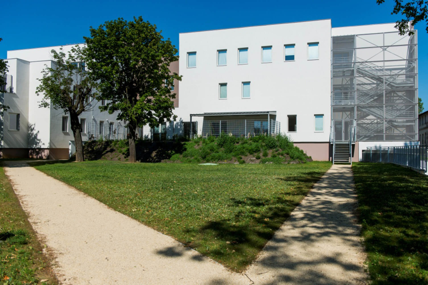 p-les-psychiatriques-du-centre-hospitalier-le-vinatier-bron-les